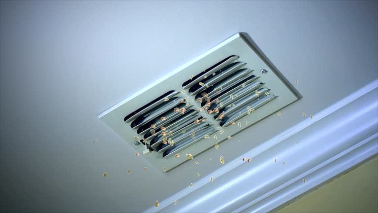 Best Ventilation Cleaning Services  in Bellwood, IL