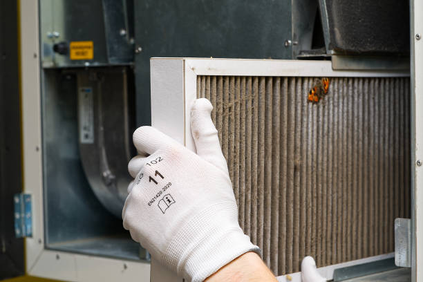 Best Air Quality Test  in Bellwood, IL