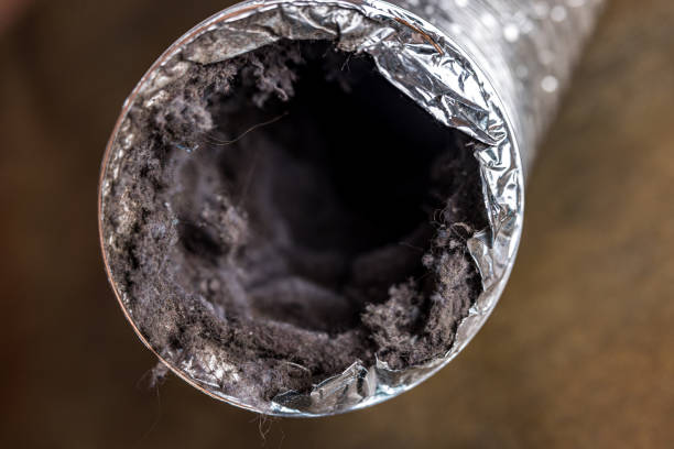 Best Commercial Air Duct Cleaning  in Bellwood, IL