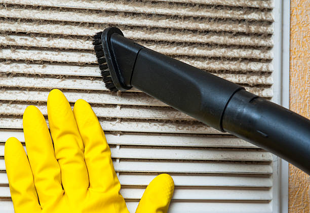 Best Professional Duct Cleaning Services  in Bellwood, IL